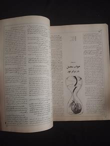 آدینه