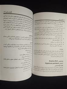 گیاه
