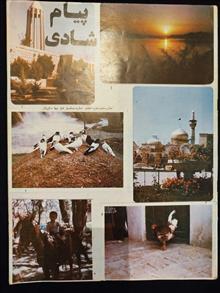پیام