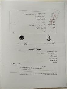 فیزیک