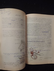 زیست