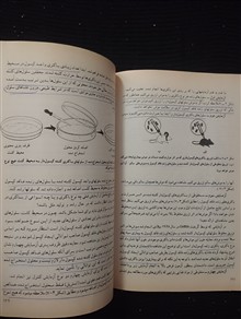 زیست