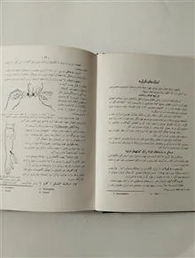 دانستنیهای