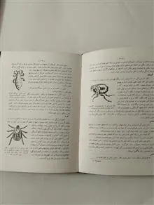 دانستنیهای