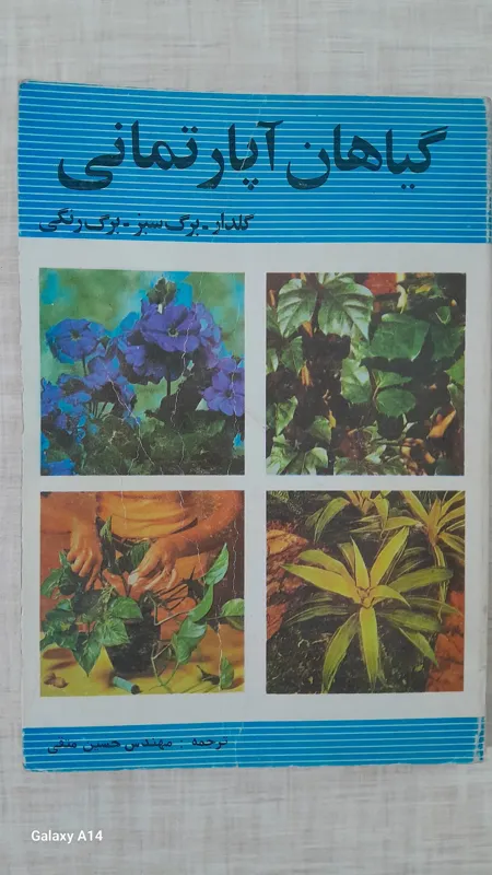 گیاهان آپارتمانی (گلدار،برگ سبز،برگ رنگی)