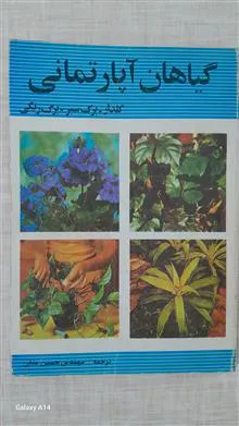 گیاهان