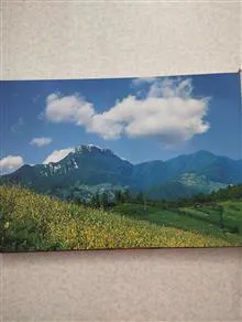 گلستان