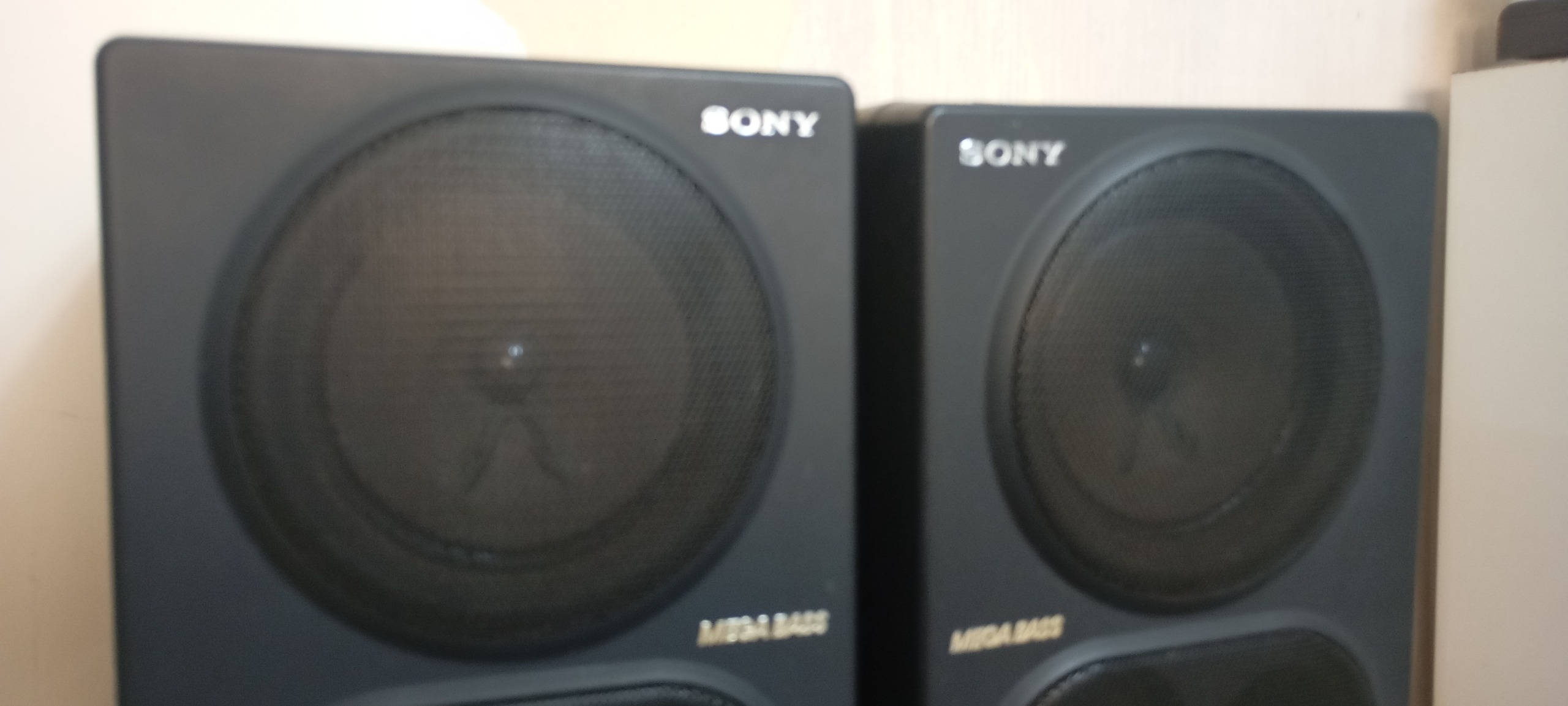 باند سونی ژاپن