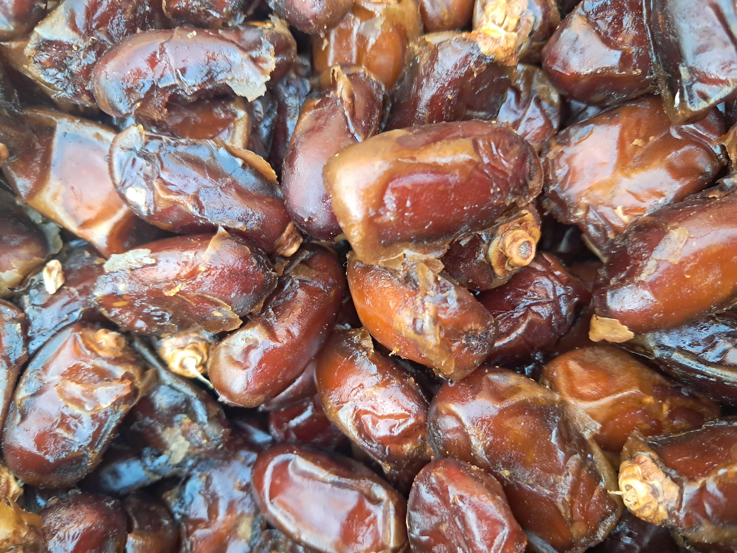 خرما شیره دار تازه گبدر سه کیلو یی9