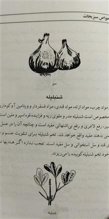 خواص