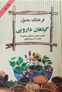 فرهنگ