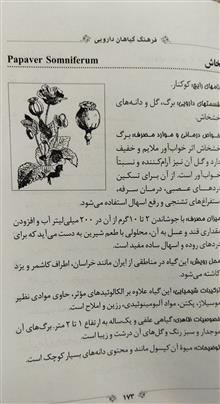 فرهنگ