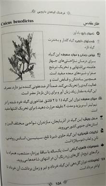 فرهنگ