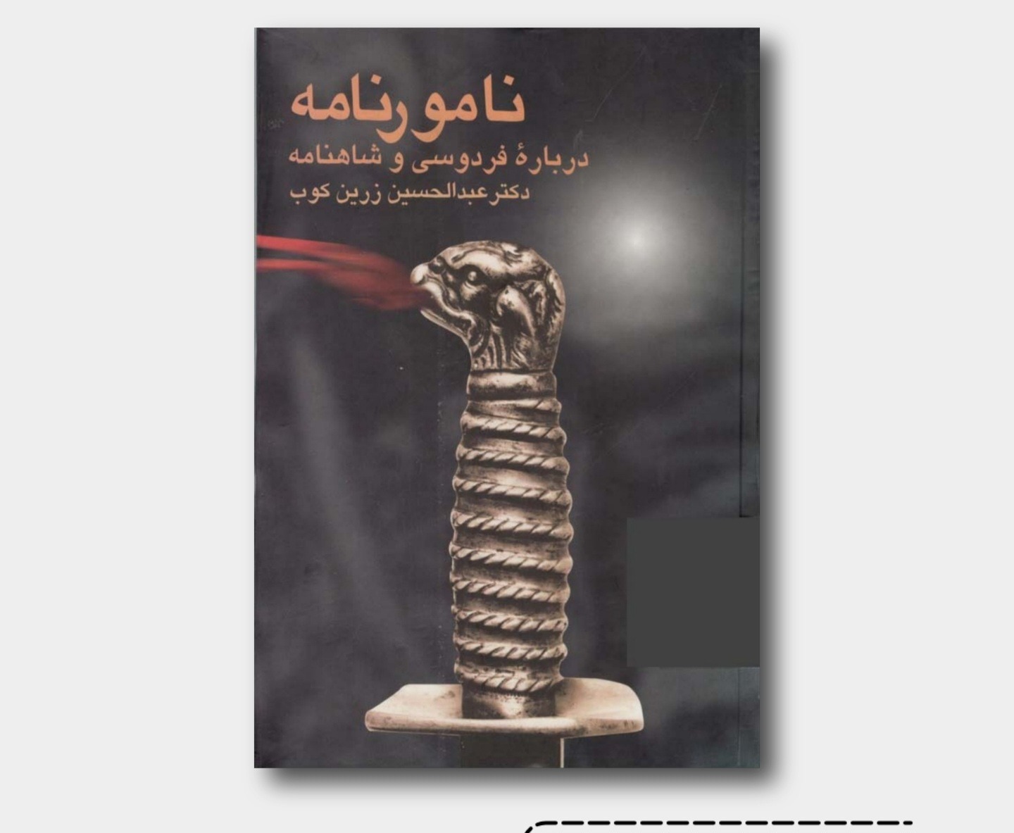 نامورنامه عبدالحسین زرین کوب