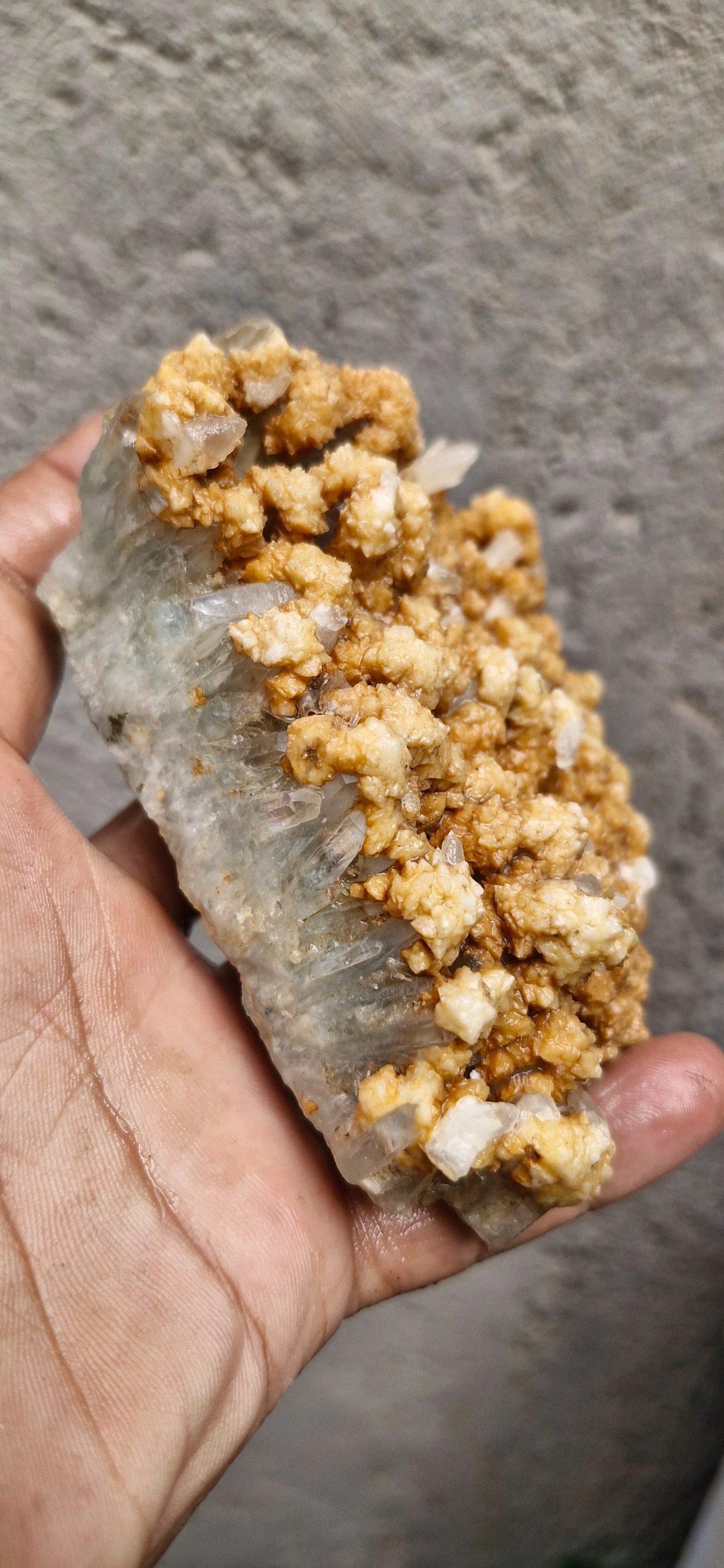 کلکسیونی کلسیت ناب