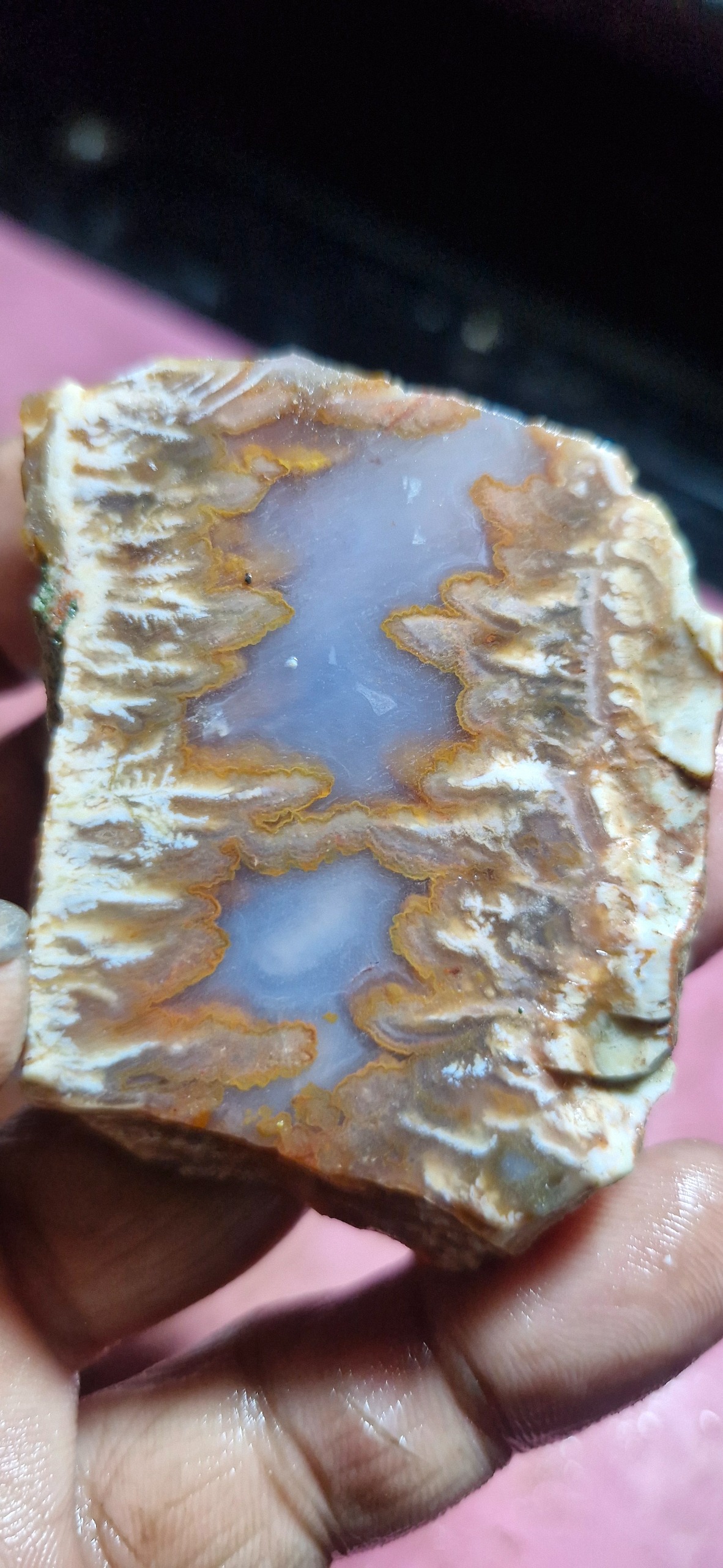 اسلایس شجر ناب