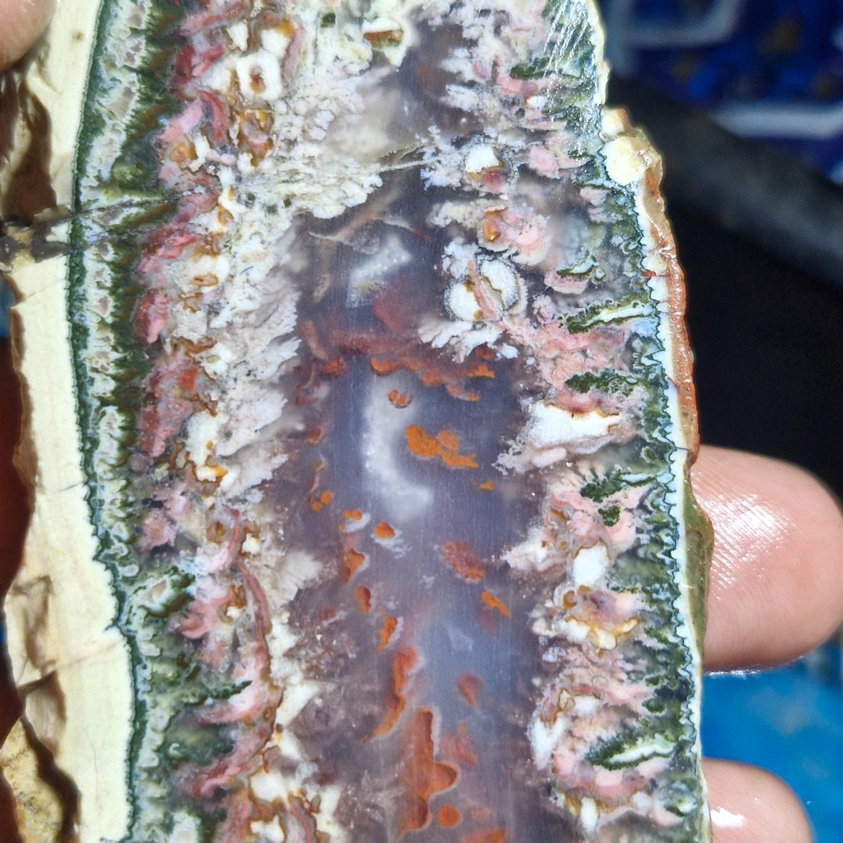 اسلایس شجر خاص