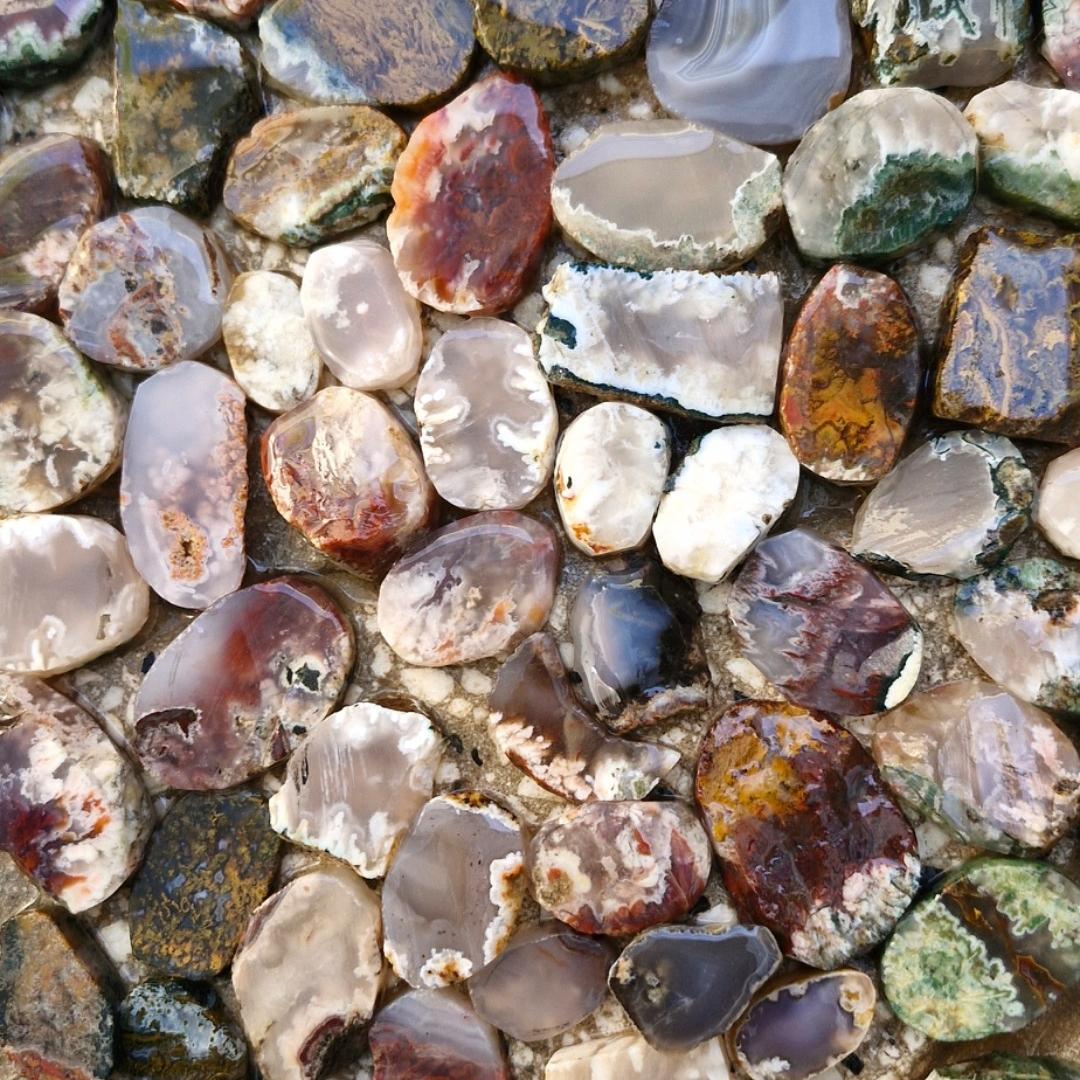 مدالی شجر نیمه آماده