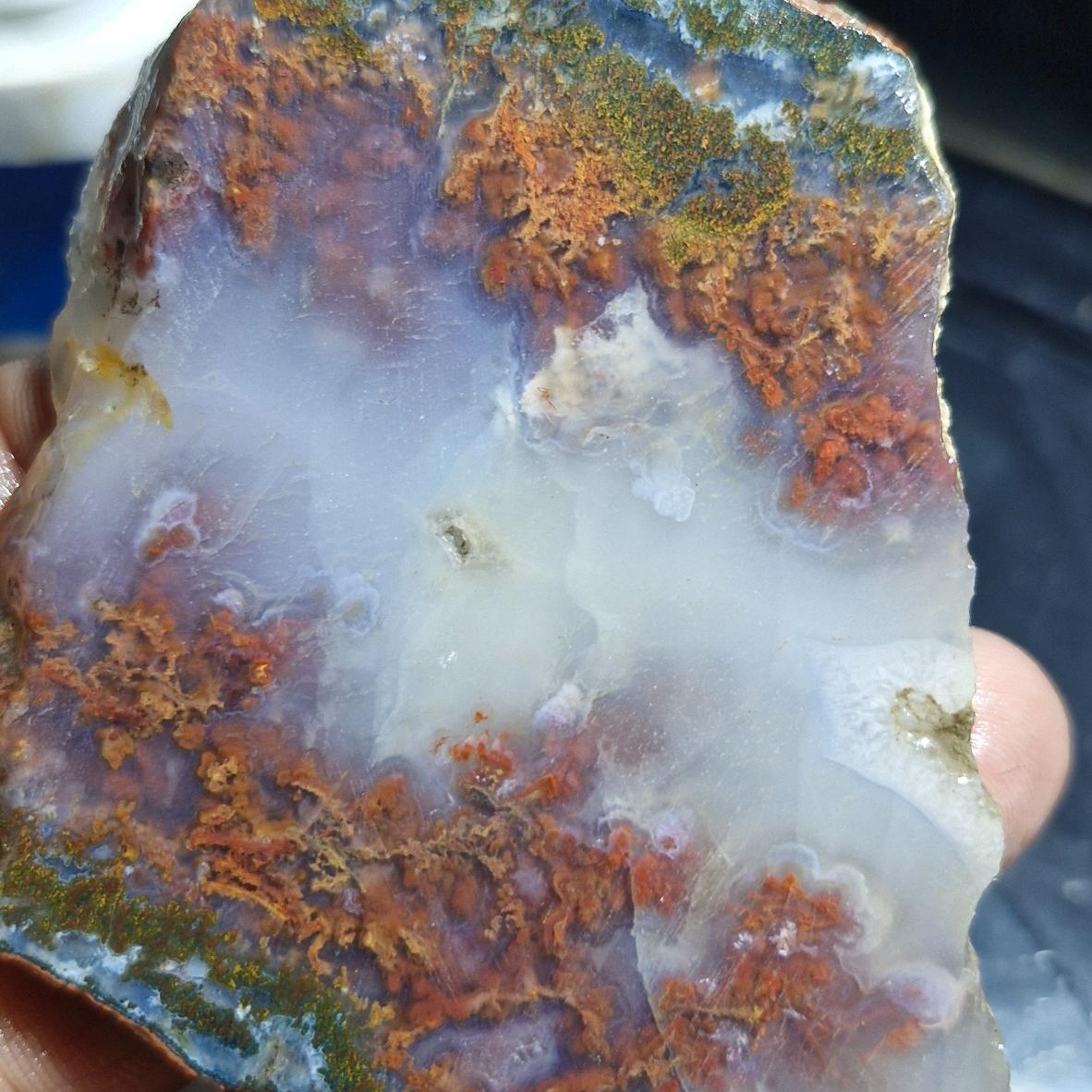 اسلایس شجر ناب