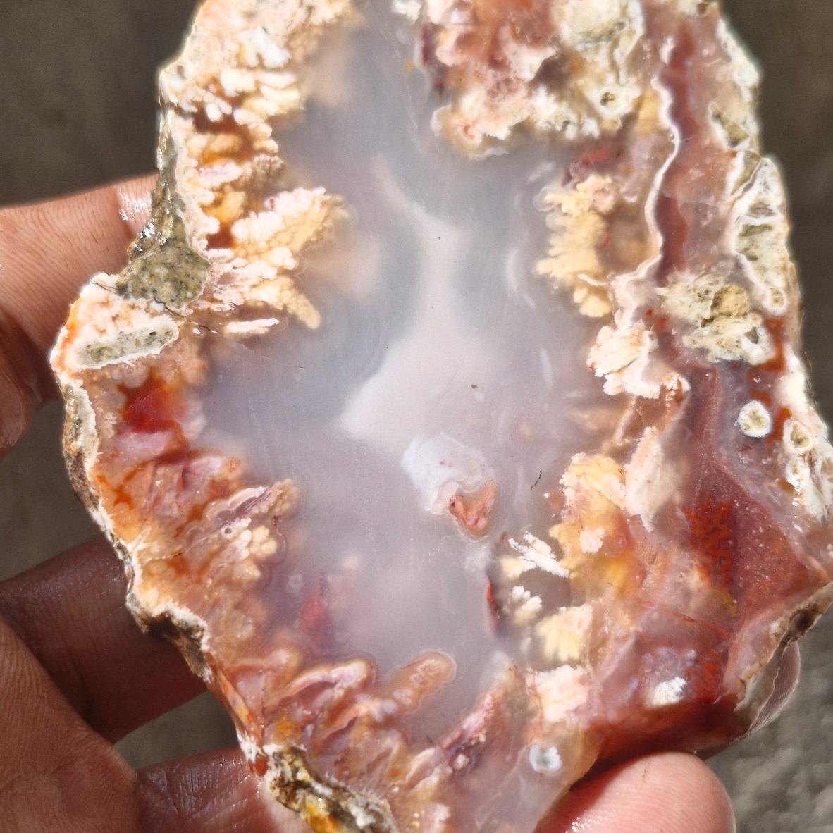 اسلایس شجر ناب