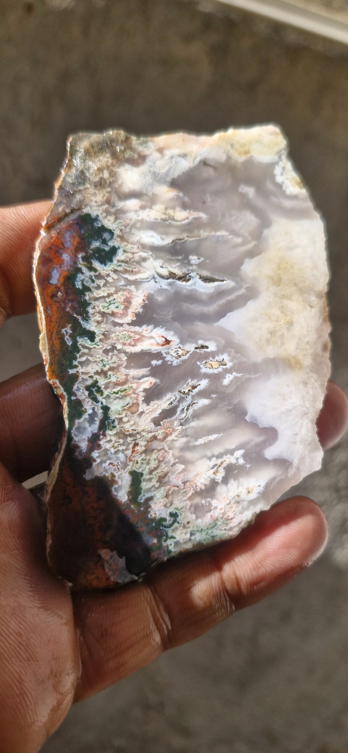 اسلایس شجر ناب