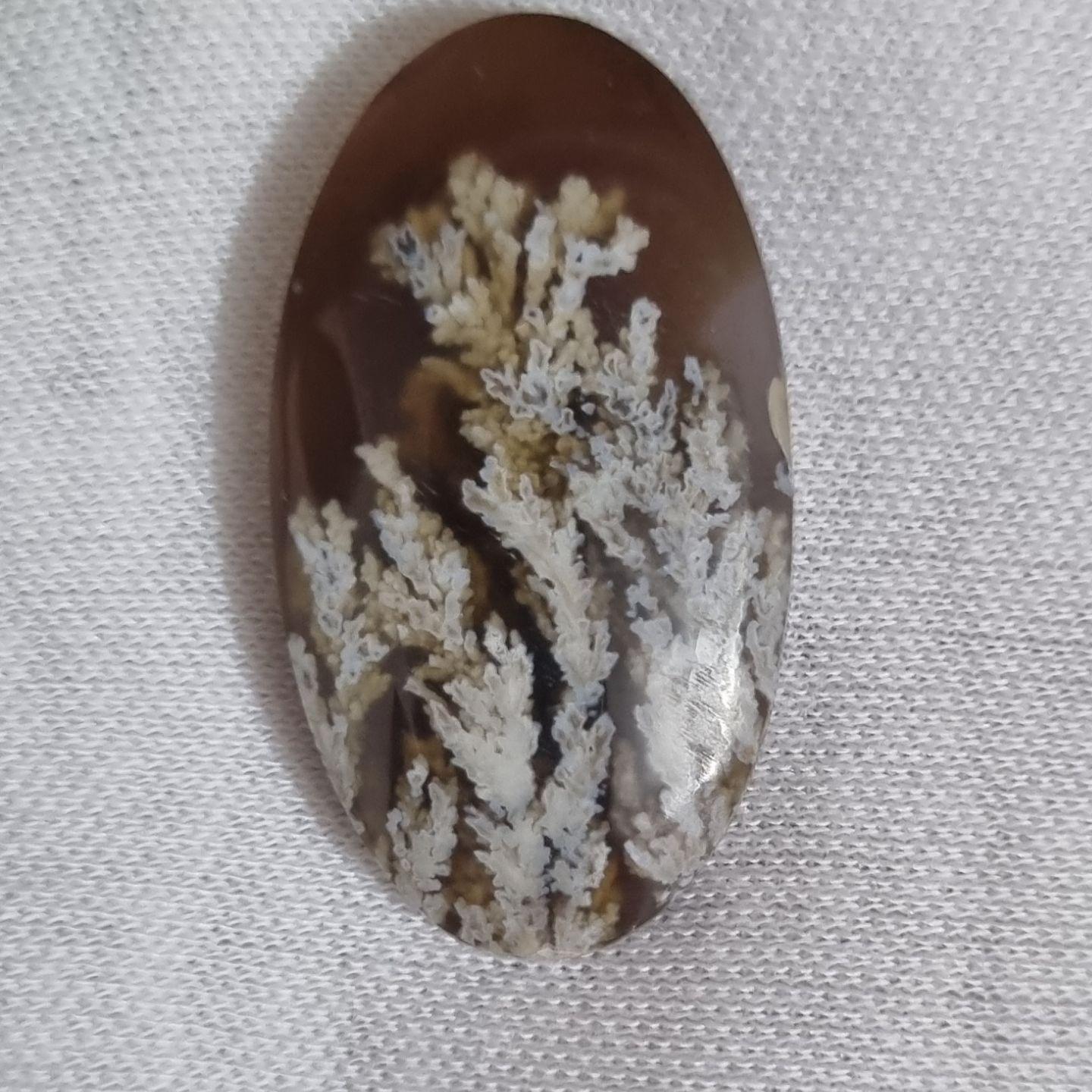 مدالی شجر با درختان کشیده