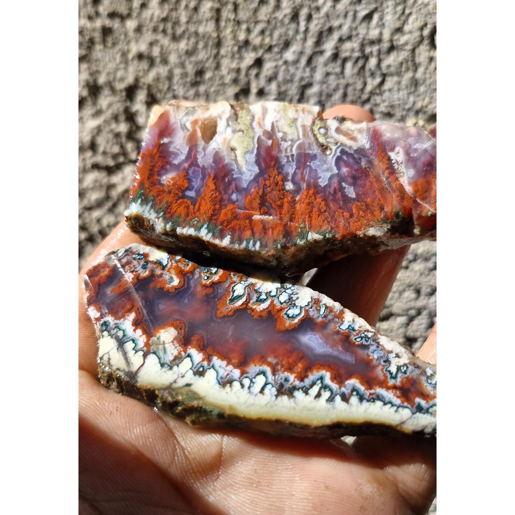 اسلایس خاص ناب