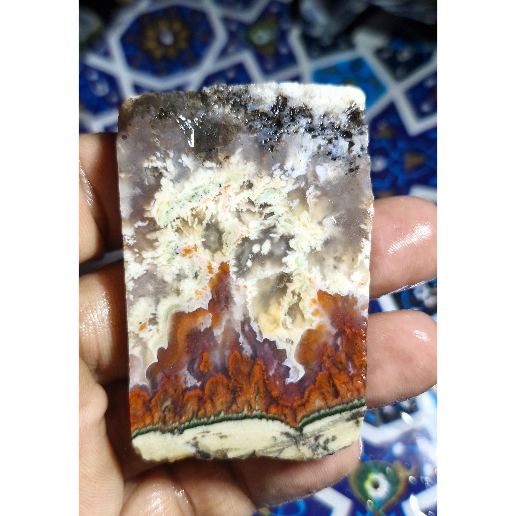 اسلایس شجر ناب