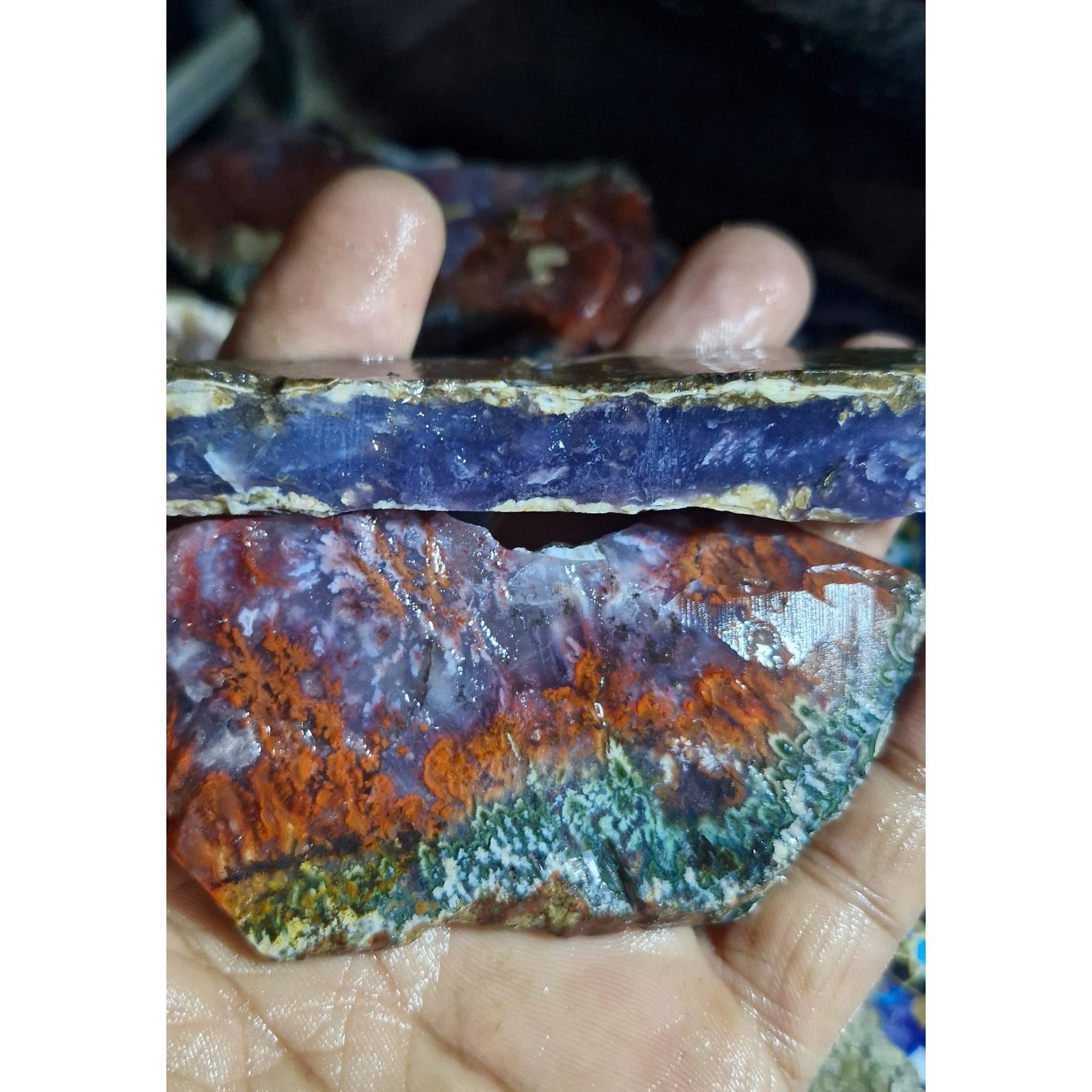 اسلایس شجر ناب