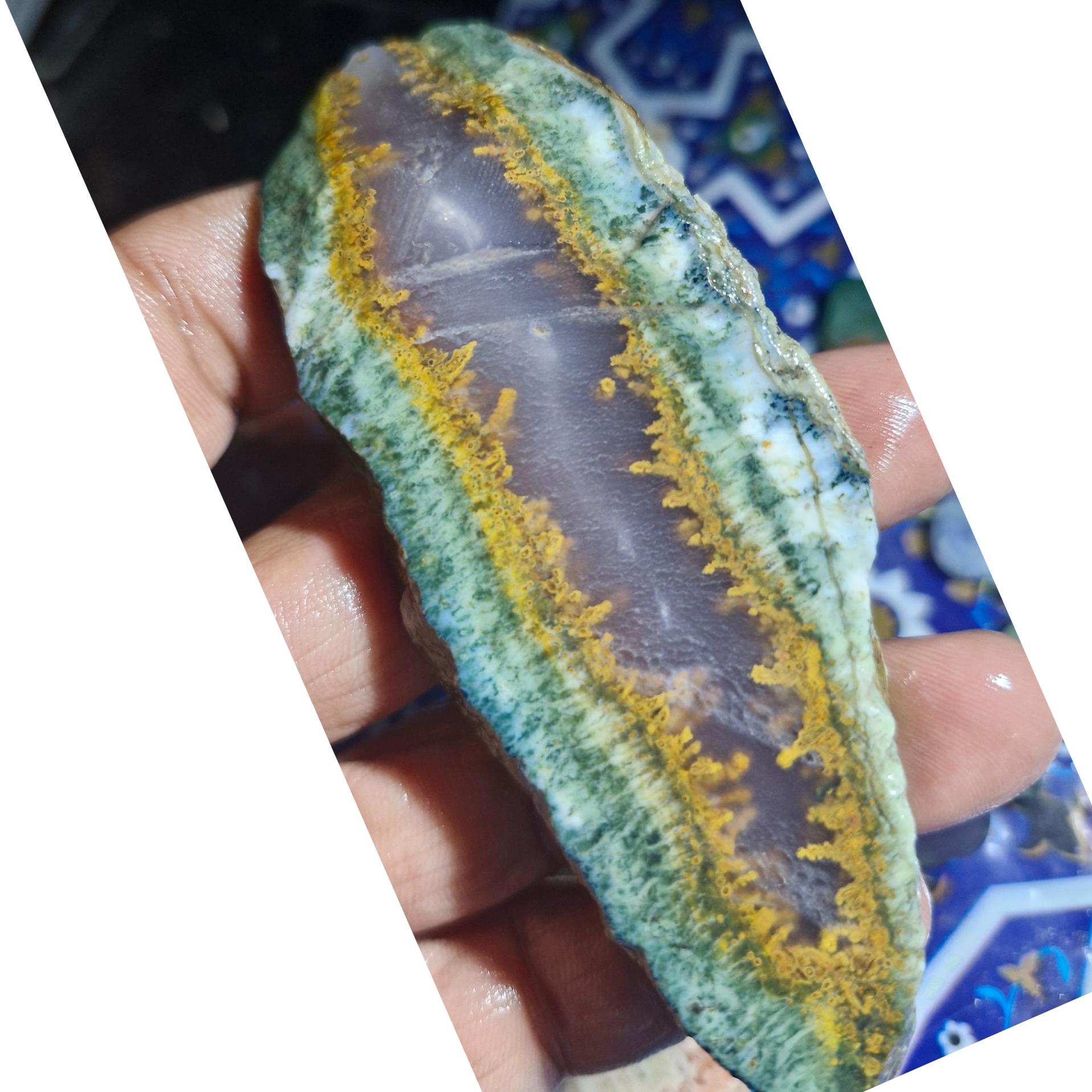 اسلایس شجر ناب