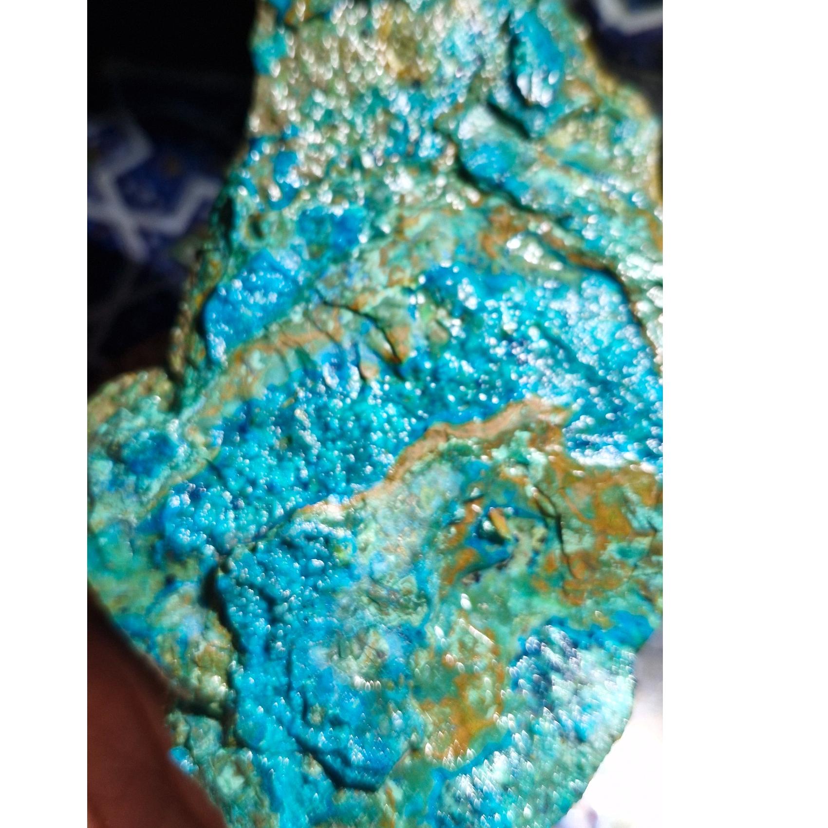 کریزوکولا ناب خاص