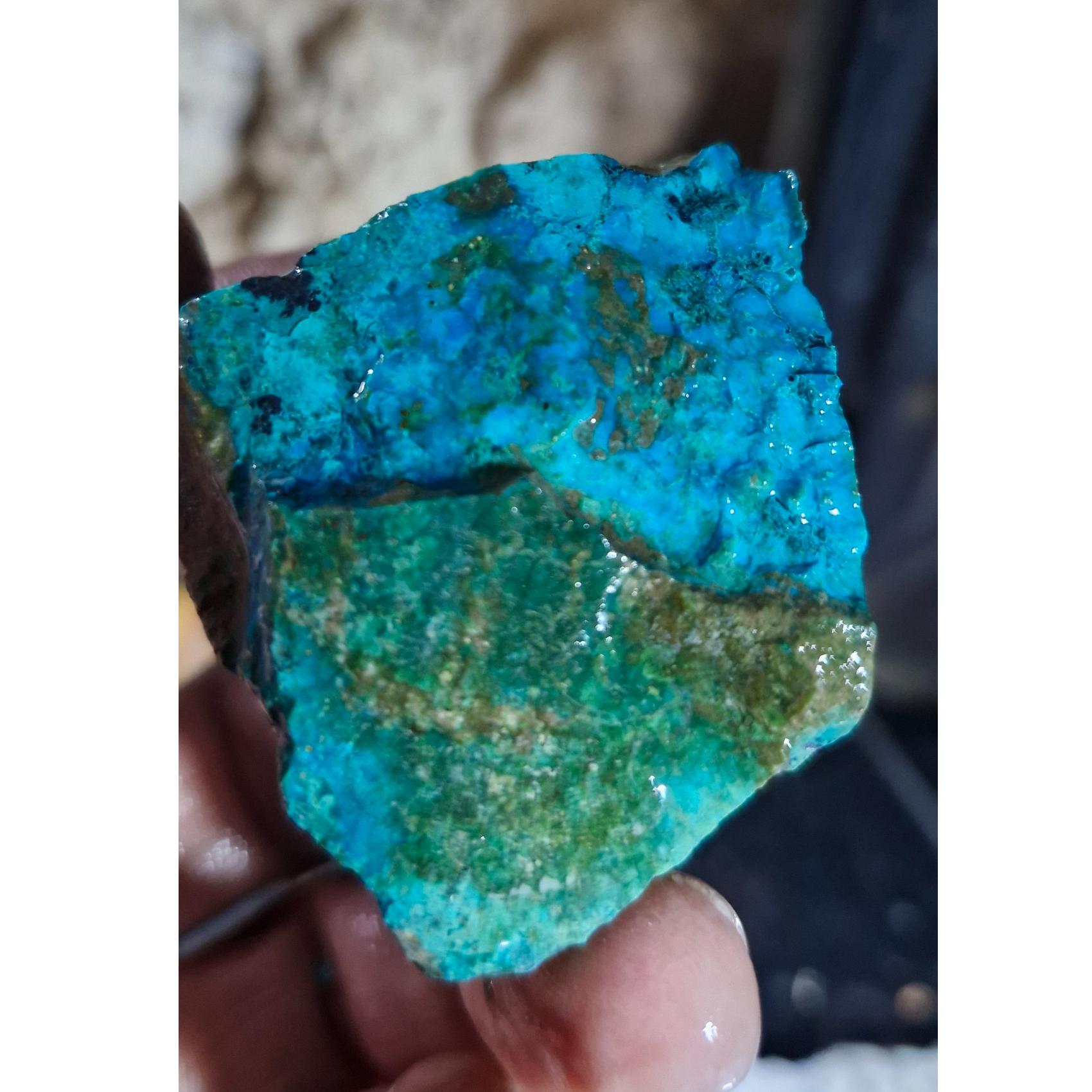 کریزوکولا ناب خاص