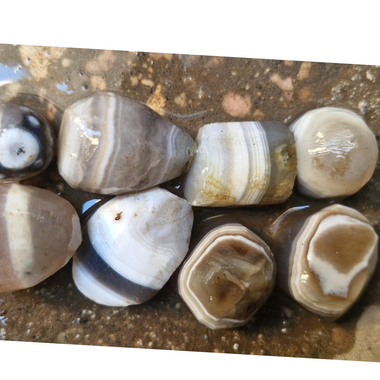 حبه عقیق سلیمانی