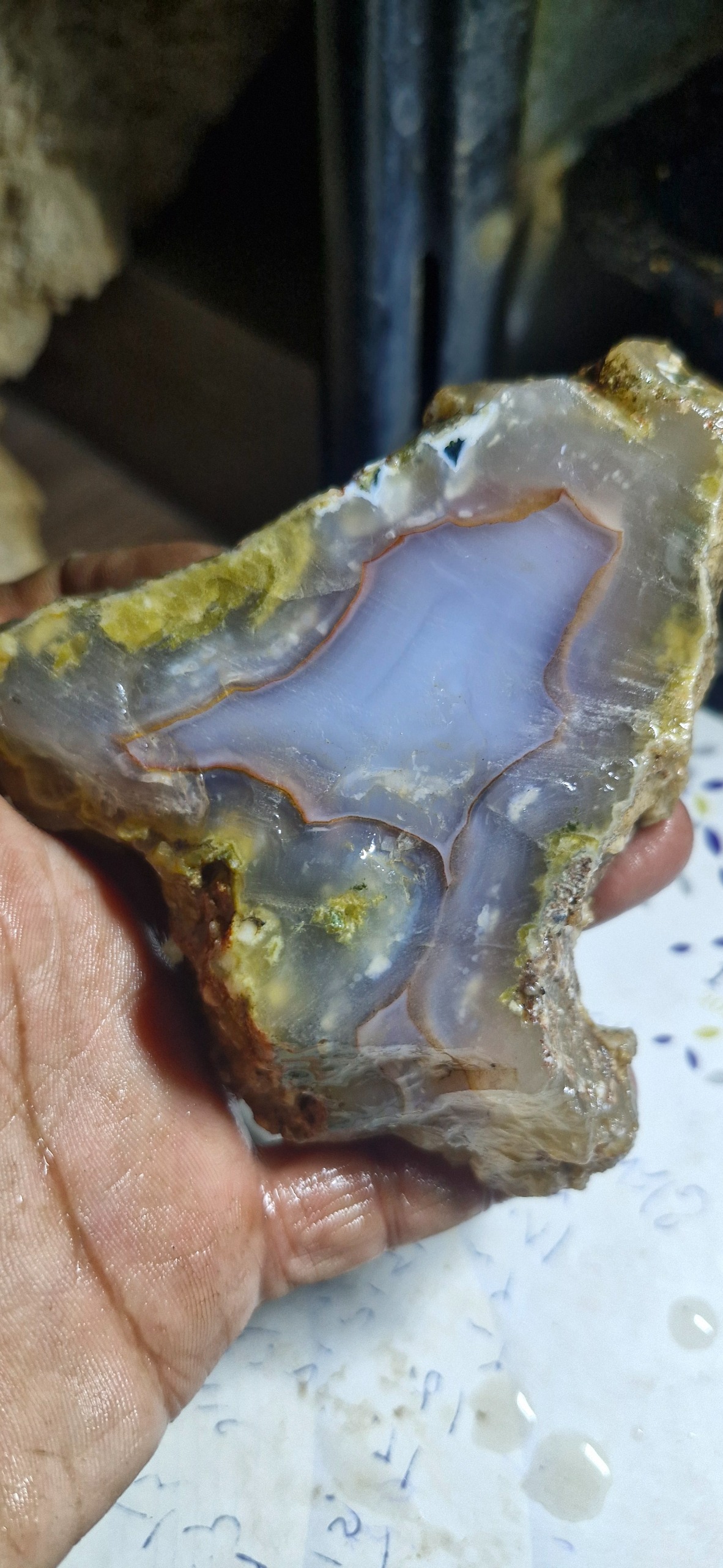 اسلایس شجر ناب