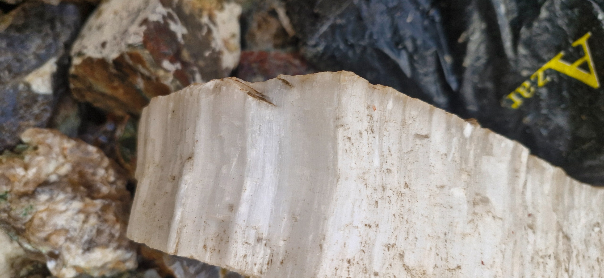 سلنایت راف ناب