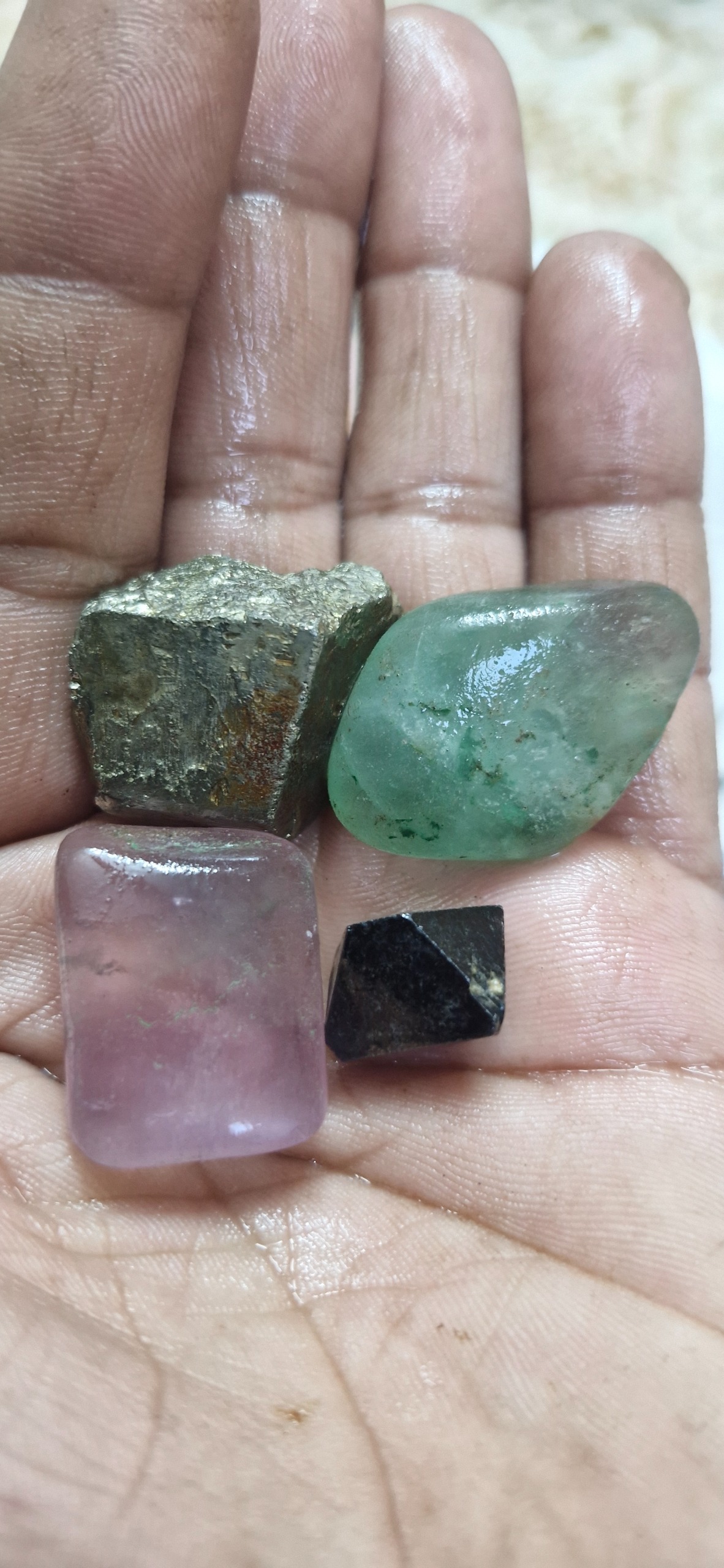 راف متنوع خاص