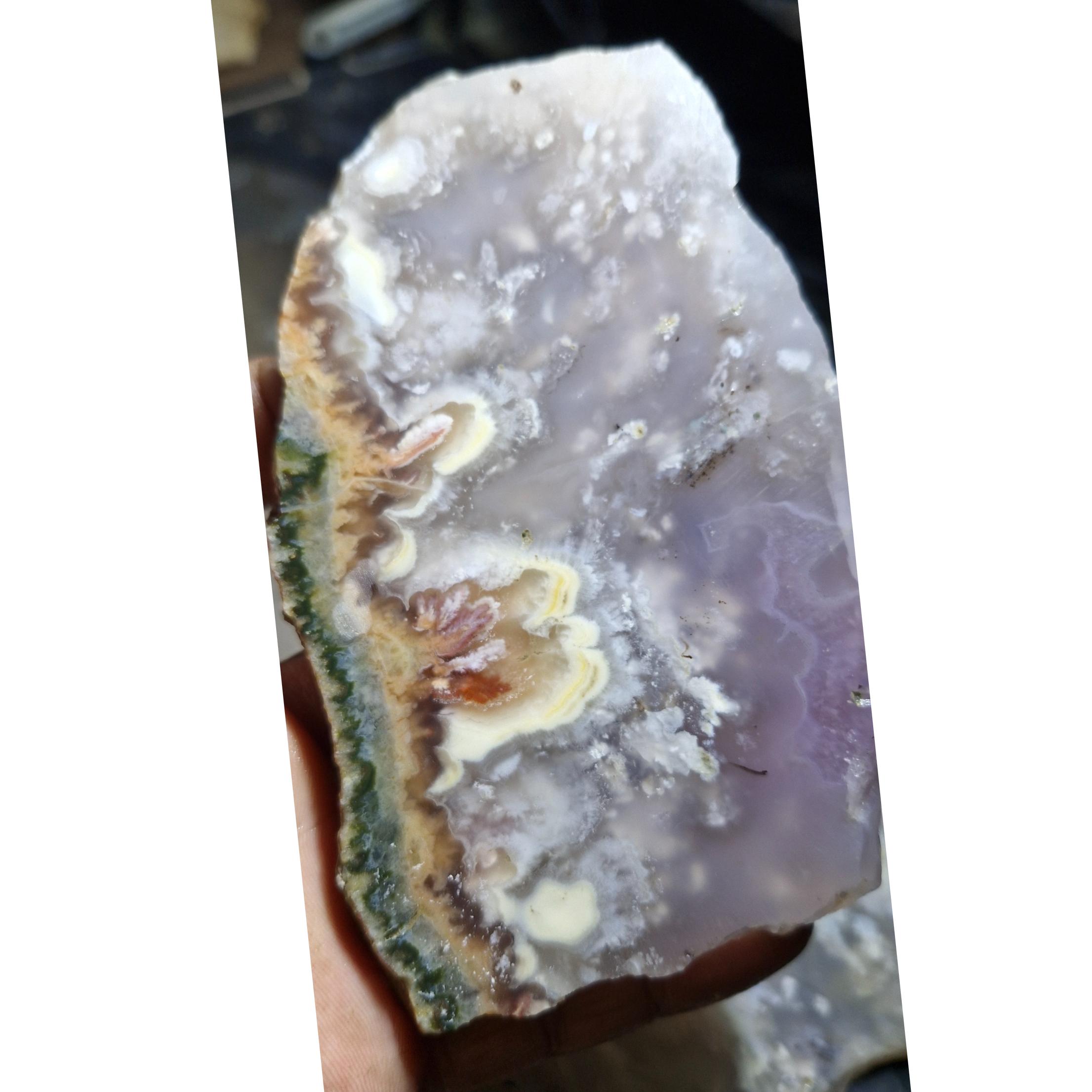 اسلایس شجر ناب