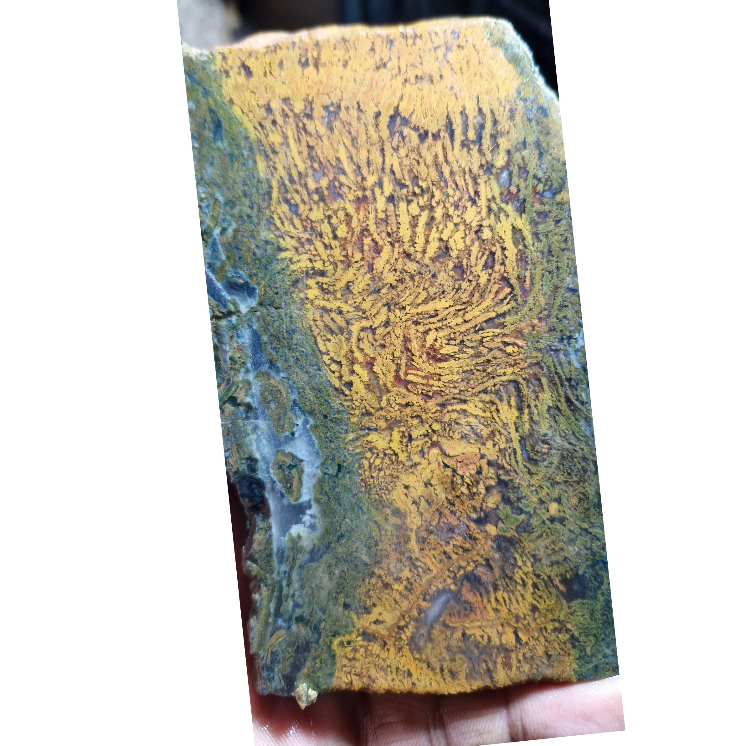 اسلایس شجر ناب