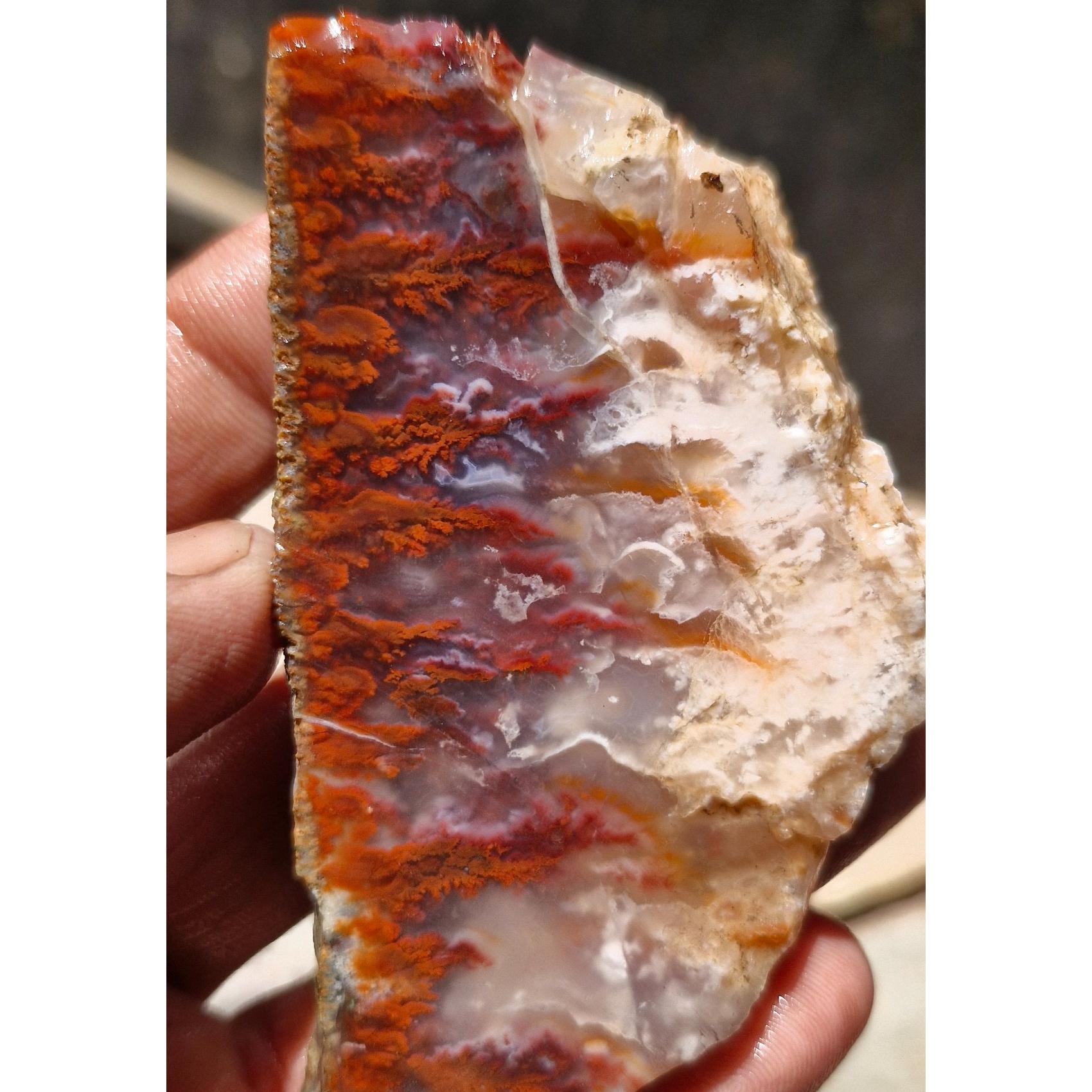 اسلایسرشجر ناب گل سرخ