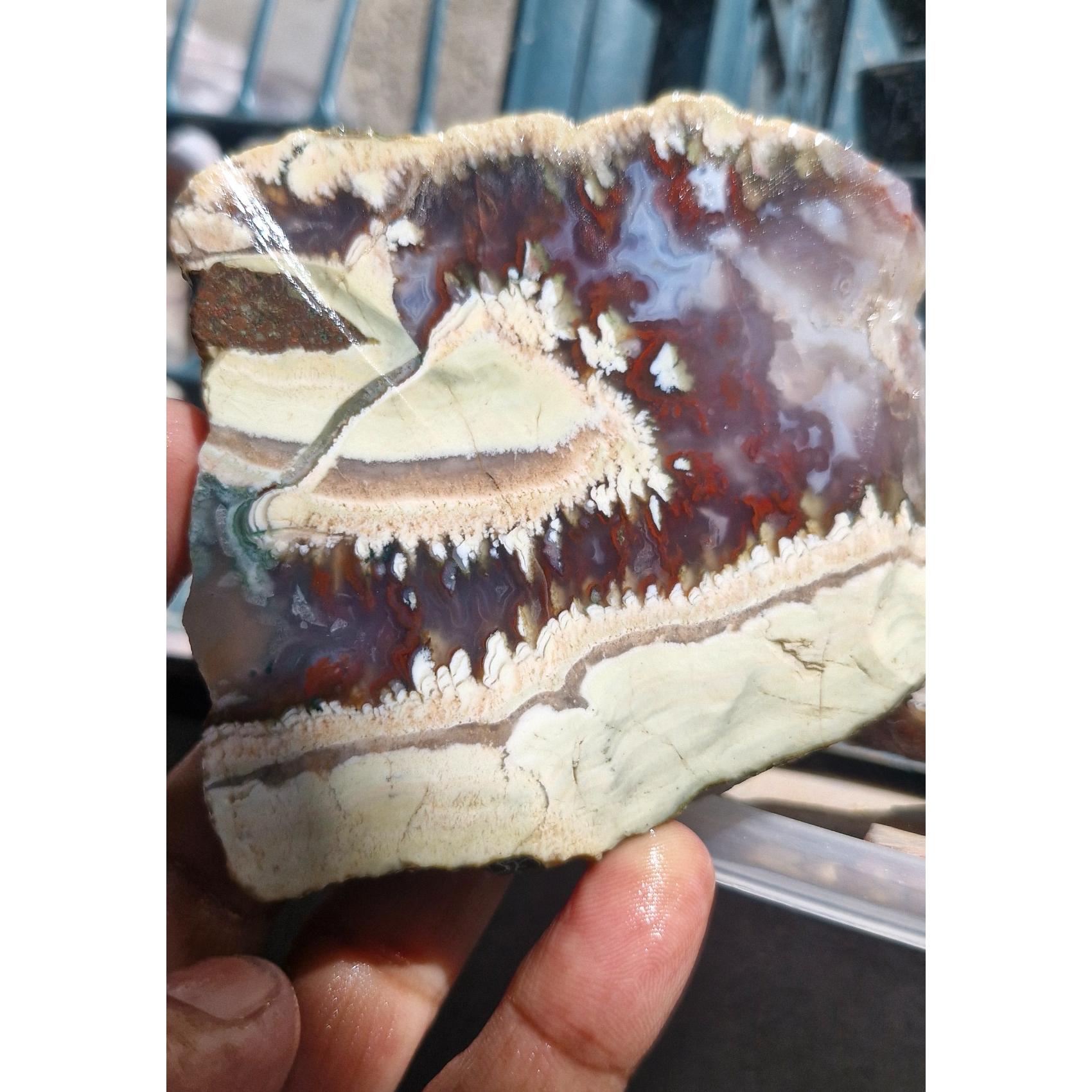 اسلایس شجر ناب
