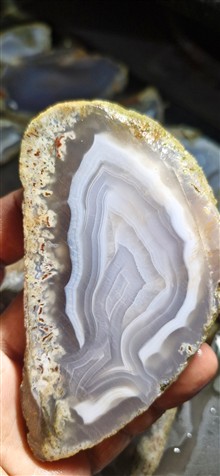 سلیمانی