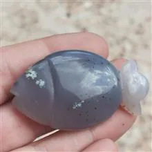 عقیق