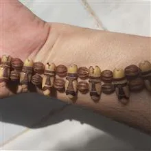 تسبیح