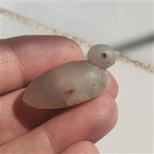 پرنده
