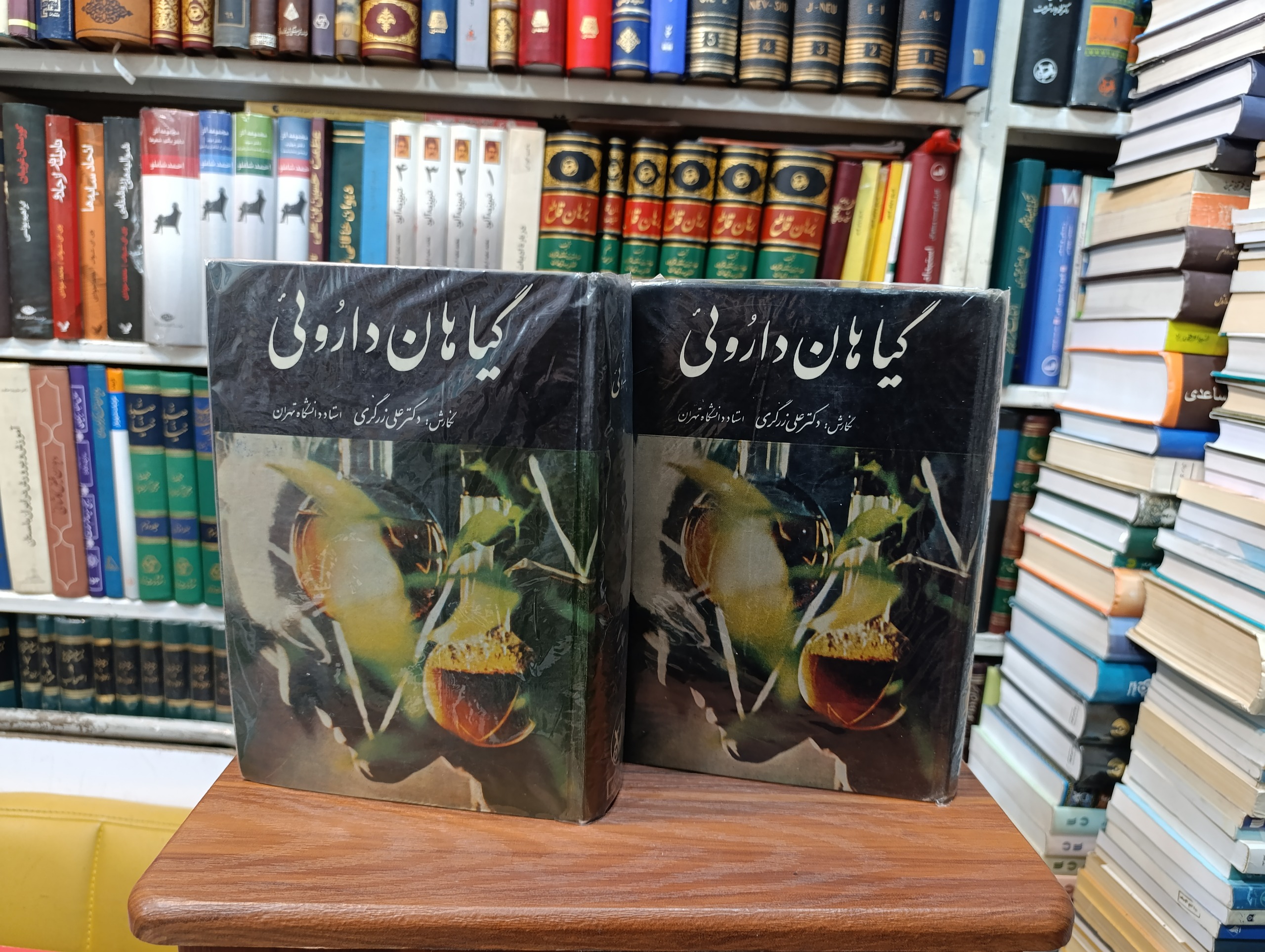 گیاهان دارویی «مصور »