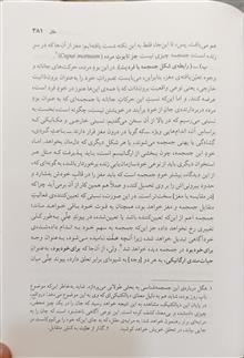 پدیدارشناسی