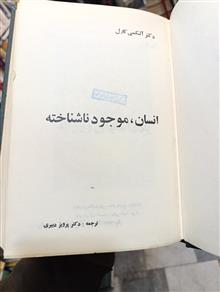 انسان