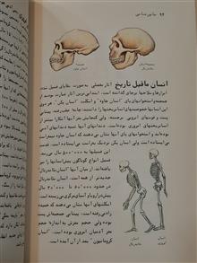 جانور
