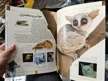 دانشنامه