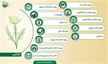 خاکشیر